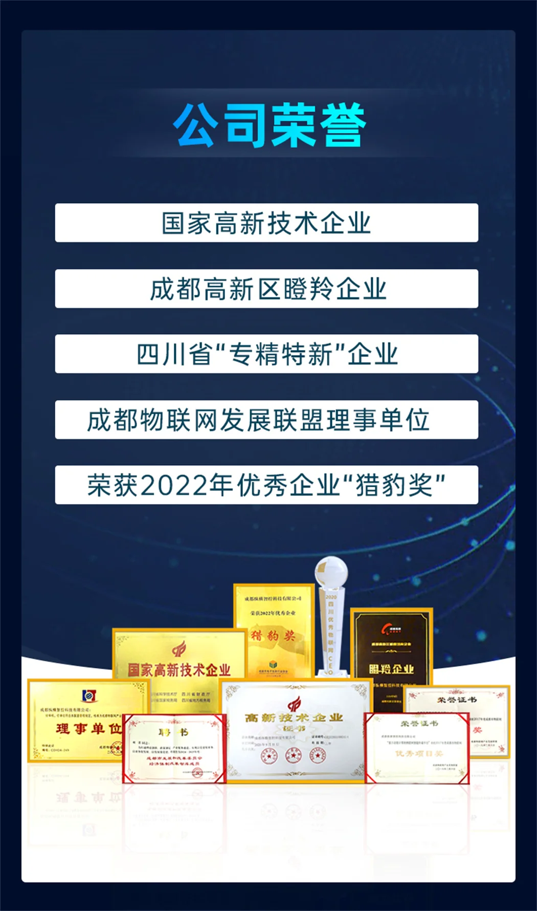 企业荣誉介绍